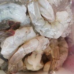 เพิ่มกุ้งสด