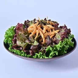 สลัดปลาเงิน(SL05)