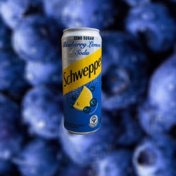 ใช้สำหรับอ้างเท่านั่น