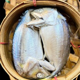 ปลาทูนึ่ง