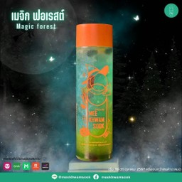เมจิก ฟอเรสต์ Magic Forest
