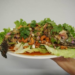 ลาบปลาช่อน