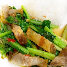 D ข้าวราดคะน้า หมูกรอบ