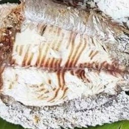 ปลานิล 2 ตัว แถมฟรี ขนมจีน 1 ตะกร้า