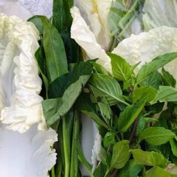 ชุดผัก+ขนมจีน+น้ำจิ้มซีฟู้ด+น้ำจิ้มถั่วตัด