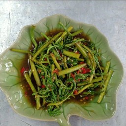 กะเฉดไฟแดง