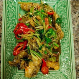 ปลากระพงผัดขึ้นช่าย