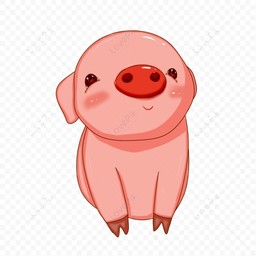ชุดหมูเด็ก