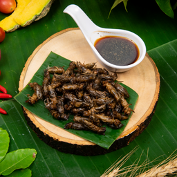 แมงกระชอนทอด