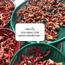 อwช wิกัดรอUมหาวิทยาลัยเกษตรศรีราชา