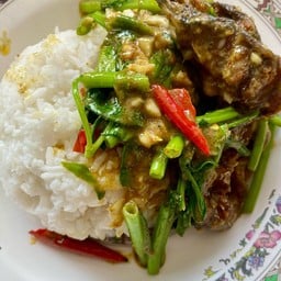 พริกแกงปลาดุก