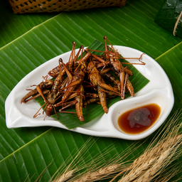 ตั๊กแตนทอด