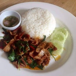 กะเพราคนโฉด Kaprao khonchod