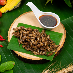 แมงสะดิ้งไข่ทอด