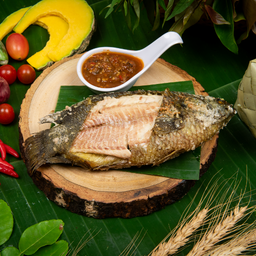 ปลาหมอย่าง(ตัว)