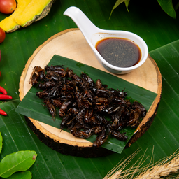 จิ้งหรีดทอด