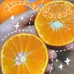 ส้มเอฮิเมะ พร้อมทาน