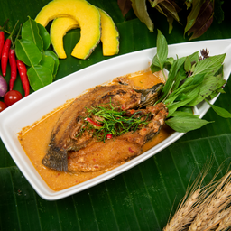 ฉู่ฉี่ปลาหมอ