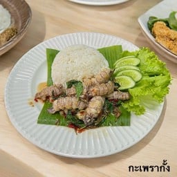 กะเพรากั้งราดข้าว