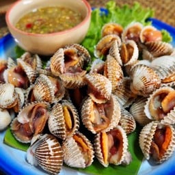 หอยแครงลวก