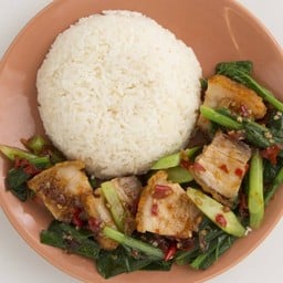 ข้าวคะน้าหมูกรอบ