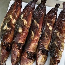 ปลาดุกย่างตัวละ 65 บาท