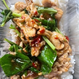 ผัดคะน้าราดข้าว