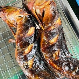 ปลาดุกย่าง2ตัว