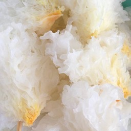 เห็ดหูหนูขาว