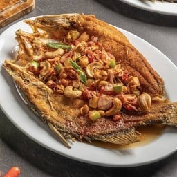 ปลากะพงลุยสวน