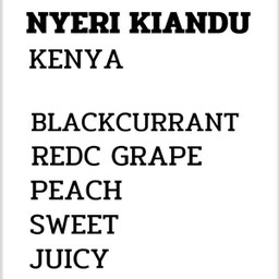 KENYA NYERI KIANDU HOT DRIP.