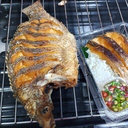 ข้าวปลาแกะ
