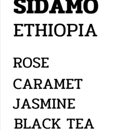 ETHIOPIA SIDAMO ICE DRIP.