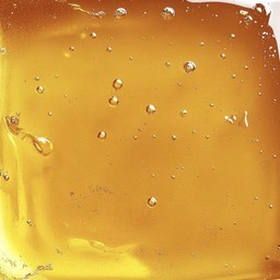 ปังปิ้งน้ำผึ้ง