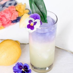 พินาโคลาด่า โซดา (16 Oz.)