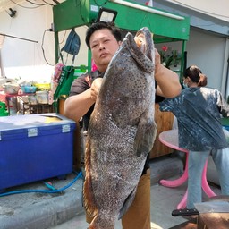 ต้มยำปลาเก๋า