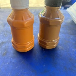 ชาใต้ 1ขวด