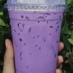 เผือกเย็น