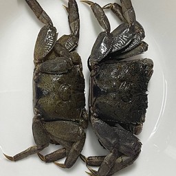 ปูจืดเพิ่มในส้มตำ