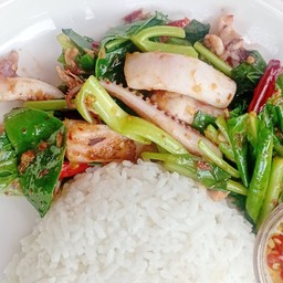 ผัดคะน้าปลาหมึกราดข้าว