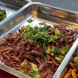 ตั๊กแตน โมจีน