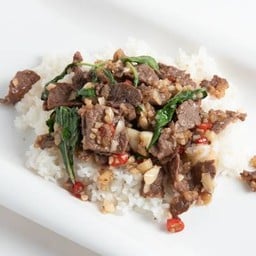 ข้าวกะเพราเนื้อ NZ