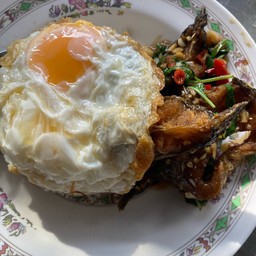 กระเพราปลาดุกไข่ดาว