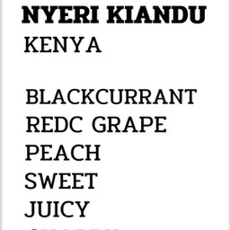KENYA NYERI KIANDU ICE DRIP.