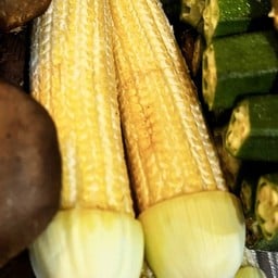 ข้าวโพดอ่อน