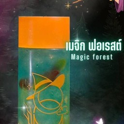 เมจิก ฟอเรสต์