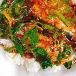 กะเพราปลากระป๋องราดข้าว