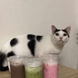 ปังวิศวะ