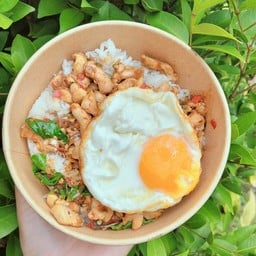 กระเพราไก่(ไม่รวมไข่ดาว)