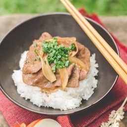 ข้าวหน้าเนื้อญี่ปุ่น